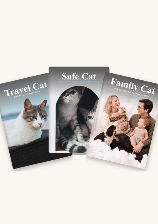 The Home & Lifestyle Pack