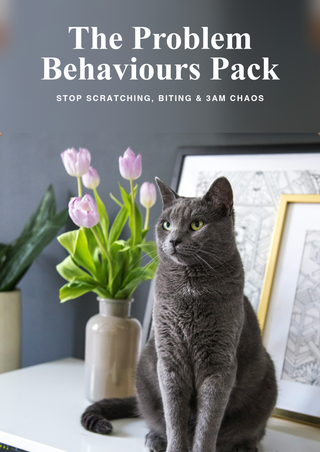 The Problem Behaviours Pack
