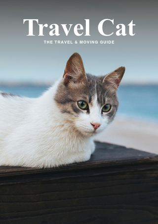 Travel Cat — Travel & Carrier Confidence