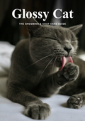 Glossy Cat — The Grooming & Coat Care Guide cover
