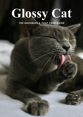 Glossy Cat — Coat, Shedding & Hairballs