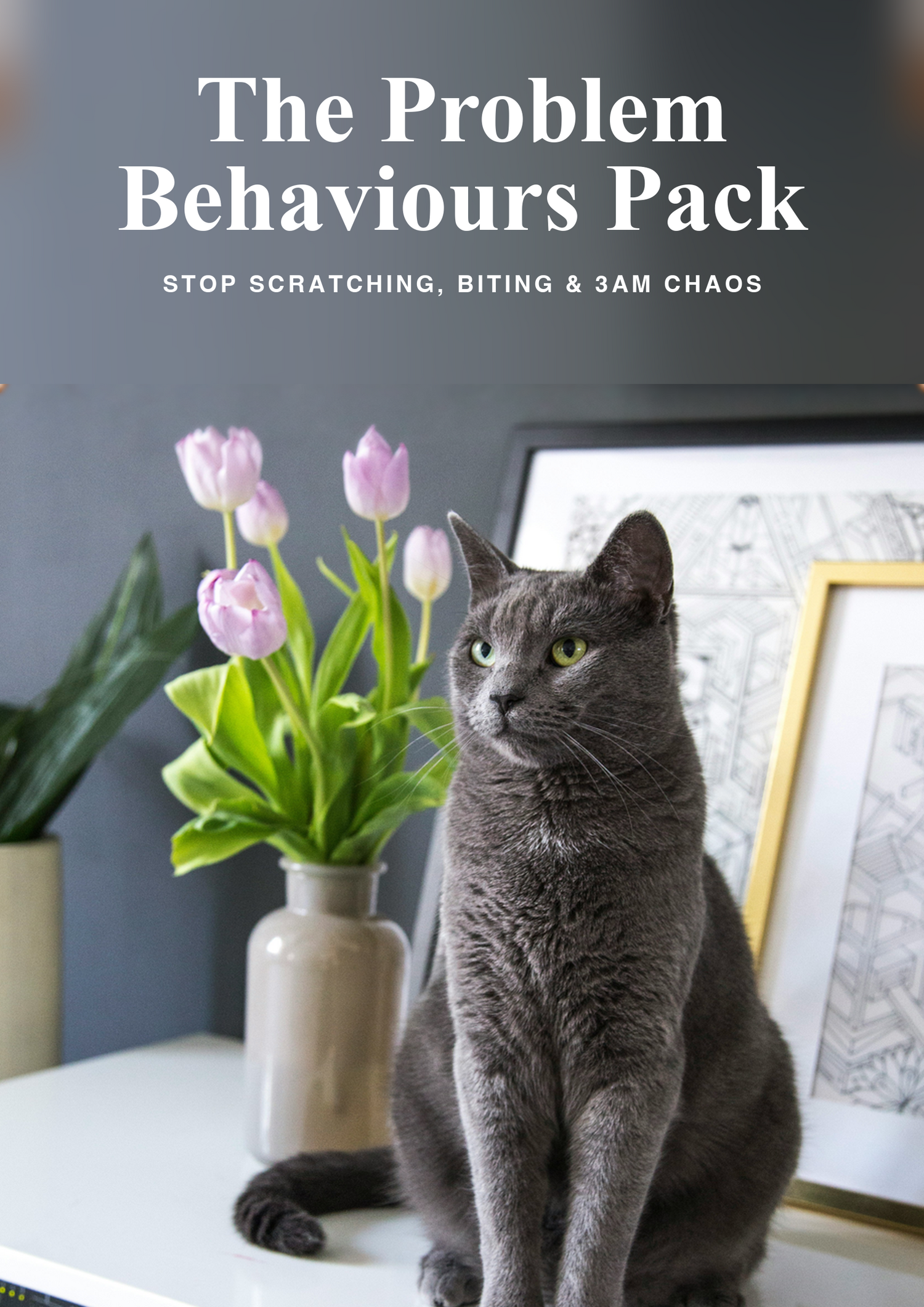 The Problem Behaviours Pack cover