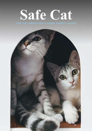 Safe Cat — Home Safety Checklist