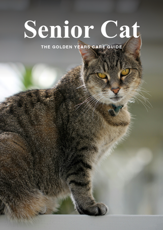 Senior Cat