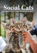 Social Cats — Introducing & Living with Multiple Cats cover