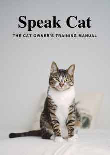 The Cat Owner's Training Manual